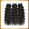 Raw Vietnamese Hair - Waterwave Double Weft