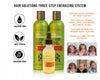 Bundle Hair Solutions - Hair Growth Energizing System | Peter Lamas