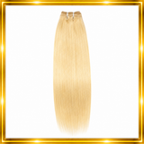 Raw Vietnamese Hair - Blonde Silky Straight Double Weft