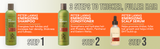 Bundle Hair Solutions - Hair Growth Energizing System | Peter Lamas